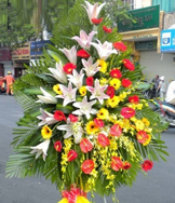 HKT124