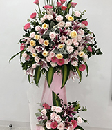 HKT212