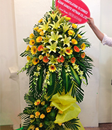 HKT53
