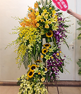 HKT56
