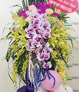 HKT51