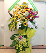 HKT62